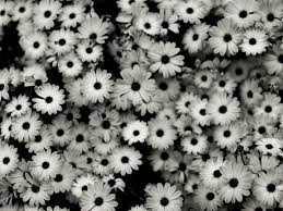 We did not find results for: Cute Black Wallpapers Group 72