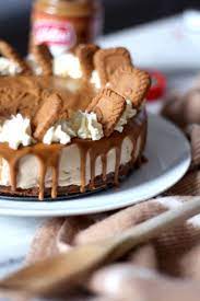 A No Bake Lotus Biscoff Cheesecake Recipe The Lovecats Inc Easy Cheesecake Recipes Cheesecake Recipes Biscoff Recipes