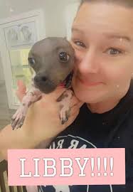 Dani Rogers (@danicrogers) • Instagram photos and videos