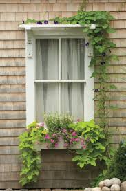 Check spelling or type a new query. Create The Perfect Window Box Old House Journal Magazine