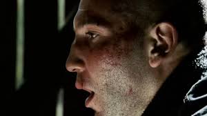 @DovySimuMMA's video Tweet