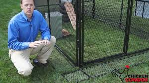 Pets are taken from us every day by coyotes, hawks, bobcats, and other predators. Exclusive Predator Prevention System From Chicken Condos Youtube