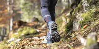 We did not find results for: Hike 4 Miles W Kirk Barrett South Mountain Reservation Maplewood July 24 2021 Allevents In