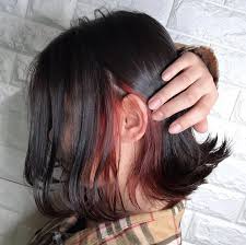 髪色 髪型 トレンド ヘアスタイル 透明感 外国人風 アッシュ グラデーションカラー ハイライトカラー 赤 レッド インナーカラー メッシュ 黒髪 カラフルヘア トレンドヘアスタイル 髪 色