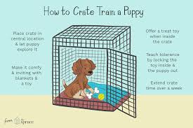 There are a few, great reasons while there are other methods of house training your puppy, this is a very instinctual transition from there, work your way up to your pup spending up to 10 minutes in their crate with the door closed after finishing their dinner. Crate Training Your Puppy