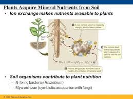 We did not find results for: Function Of Root Hair And Water Absorption In Plants Steemit