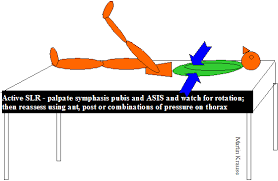 Image result for Pelvic Compression Test