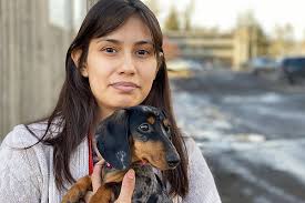 Review how much mini dachshund puppies for sale sell for below. Pebbles The Dachshund Puppy Attacked By Off Leash Husky In B C Interior Houston Today