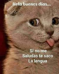 We did not find results for: Las Mejores Imagenes De Buenos Dias Amigo Frases Saludos Y Mensajes De Buenos Dias