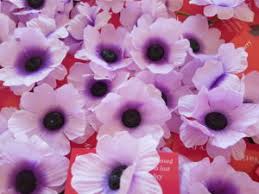 They pride themselves on providing an inclusive envir… National Sorry Day On May 26th Is Almost Here Please Order The Kimberley Stolen Generation Sorry Day Flowers To Get Them In Time