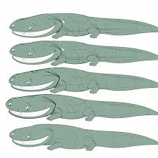 Image result for Oldenlandia goreensis