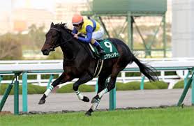 For those who want to spend a day at the races, the hipodromo de san isidro is a good option. 2020 11 06 Copa Republica Argentina G2 Comments From Runners Connections News Horse Racing In Japan