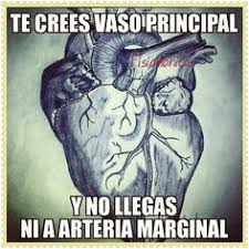 Published on may 10, 2011. 45 Ideas De Humor En Fisioterapia Fisioterapia Humor Frases Para Medicos