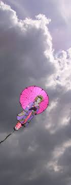 Karakasa Dojin Kite Kite Surfing Go Fly A Kite