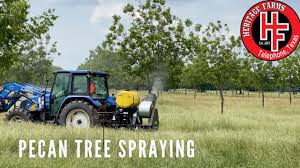 How To Spray Pecan Trees Terminator Sprayer Pecan Orchard Management Youtube