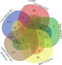 Testicular cancer staging describes how large a cancer is, whether the disease has spread and whether it is producing tumor markers, in addition to noting the level of those proteins in the serum, or blood. Frontiers Prognosis Of Patients With Testicular Carcinoma Is Dependent On Metastatic Site Oncology