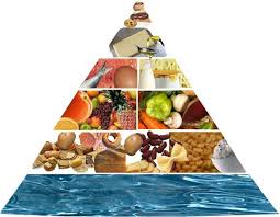 La guardia deve essere sempre alta per evitare errori (nei comportamenti e nell'assunzione di talune sostanze) che possono incidere sulla salute sia della mamma che del. Alimentazione In Gravidanza Consultorio Cemp
