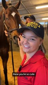 Black Soil Bloodstock