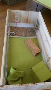 Pin On Small Pet Care