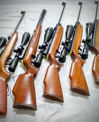 Just like most other mobile battle royale games, free fire is free to play, but if you want to get new gun skins, outfits you must invest real money. Air Gun Wikipedia