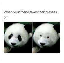 Meme Funny Crazy Panda Glasses Friend Take Them Off Suprise Fun Weird Black White Cu Really Funny Memes Funny Animal Jokes Funny Relatable Memes