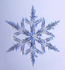 Snowflakes Under The Microscope Very Cool Photos Of Snowflakes Under A Microscope General Discussion Patterns In Nature Snowflake Images Snowflakes Real