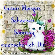 Wähle einfach das gewünschte bild aus der kategorie guten morgen bilder smiley und klicke auf einen der darunter angezeigten codes. Schonen Sonntag Wunsche Ich Dir Bilder 280 Gbpicsbilder Com