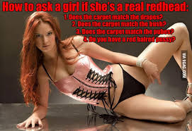 456 x 700 jpeg 64 кб. How To Ask A Girl If She S A Real Redhead 1 A Tame Inquiry 4 Straight Forward Is There A Burning Bush 9gag