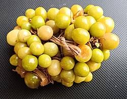 Image result for Physalis angulata