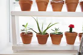 window ledge plant shelf a beautiful mess