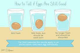 3 Ways To Check If Your Eggs Are Still Fresh | Egg Test, Egg Test For  Freshness, Food Facts