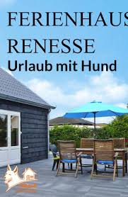 Ferienhaus Renesse Hund Ferienhaus Holland Mit Hund Ferienhaus Holland Ferienhaus Zeeland