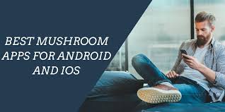 The new mushrooms app ! Best Mushroom Identification Apps For Android And Ios