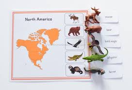 In this activity, children will let their imagination run wild as they design and build a new planet in the solar system. Montessori Inspired Animal Continents Activity Sheets The Pinay Homeschooler