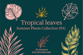 Download Tropical Leaves Summer Plants Collection Svg Graphics By Zenart Studio By Tatyana Matsiushkova Thehungryjpeg Com