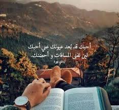 قصائد عن الحضن ليدي بيرد