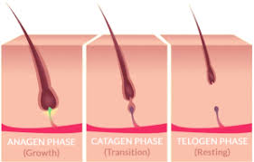 If this is your first time. How To Make Waxing Results Last Longer Between Treatments