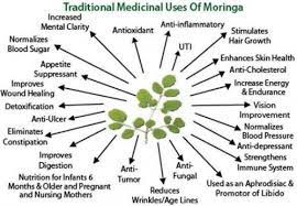 Moringa Leaves Powder Drumstick Leaves Powder Moringa Benefits How To Increase Energy Coconut Health Benefits