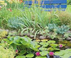 Les Plantes De Berge