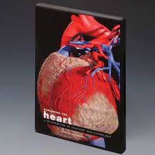 Exploring The Heart A 3d Overview Of Anatomy And Pathology Published By Primal Pictures Ltd Exclusive Distribution By Wolters Kluwer Health