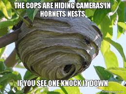 Announcement hornets nest vintage is my vintage shop for home decor, letterpress metal type hornets nest wants you to love your purchase! The Cops Are Hiding Cameras In Hornets Nests If You See One Knock It Down Hornets Nest Make A Meme