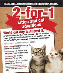 Perayaan ini diinisiasi komunitas international fund for animal welfare (ifaw) untuk memperingati persahabatan manusia dengan anak bulu berkaki empat itu. Hari Kucing Sedunia Wikipedia Bahasa Indonesia Ensiklopedia Bebas