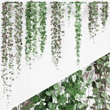Wall Hanging Plant 3d Model For Download Cgsouq Com Hanging Plants Plants Plant Decor