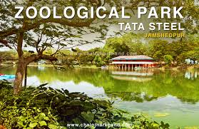 Tata Steel Zoological Park Jamshedpur Jharkhand Beautiful Places Places To Visit Tata