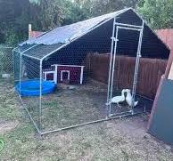 Petsfit Wooden Chicken Coop With Nesting Box,Weatherproof ...