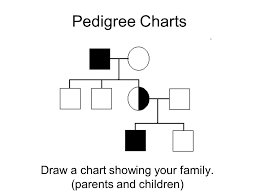 Pedigree Charts Draw A Chart Showing Your Family Parents