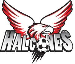 Si bien es muy rápido y tiene habilidad para desbordar le falta destreza para definir. Halcones Dorados Home Facebook