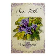 Birthday Flowers On September 16th Quot Gentian Quot Poster Coffee Custom Unique Special Birthday Flowers Gentian Flowers