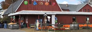 6436 albion rd, east oakfield, ny 14125 > business background report. Things To Do October 23 29 Flint Genesee Group
