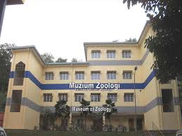 Institut sains biologi (isb), faculty of science is the nexus of universiti malaya's teaching and research in biological sciences. Institut Sains Biologi Muzium Zoologi Institut Sains Biologi Museum Of Zoology Ppt Download